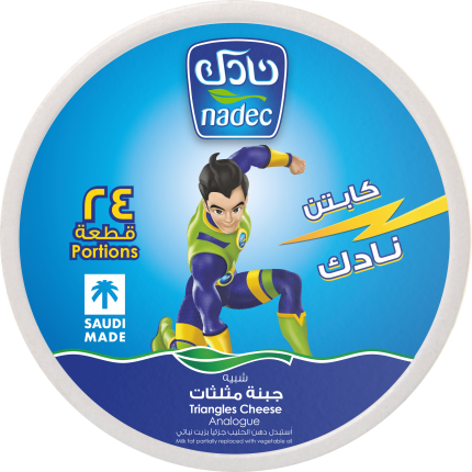 Nadec Triangle Cheese - 24ct