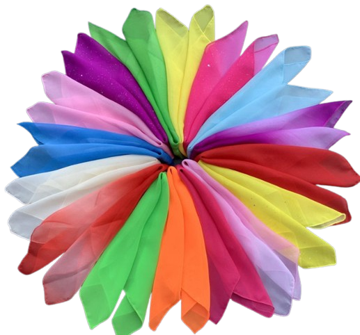 Organza Fabric